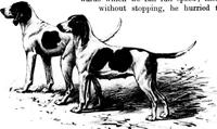 An illustration from The Badminton Magazine 1899-10: Vol 9 Iss 51 (1899)