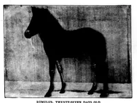 An illustration from The Badminton Magazine 1899-11: Vol 9 Iss 52 (1899)