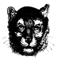 Picture 3 of 6 from The Badminton Magazine 1899-11: Vol 9 Iss 52 (1899), leaf 59