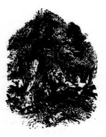An illustration from The Badminton Magazine 1900-03: Vol 10 Iss 56 (1900)
