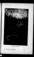 Picture 2 of 7 from The Badminton Magazine 1900-04: Vol 10 Iss 57 (1900), leaf 32