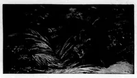 An illustration from The Badminton Magazine 1900-05: Vol 10 Iss 58 (1900)