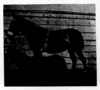 An illustration from The Badminton Magazine 1900-06: Vol 10 Iss 59 (1900)
