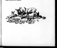 An illustration from The Badminton Magazine 1900-12: Vol 11 Iss 65 (1900)