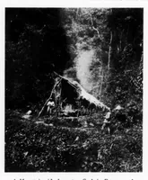 An illustration from Field and Stream 1904-04: Vol 8 Iss 12 (1904)
