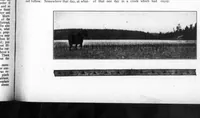 Picture 3 of 6 from Field and Stream 1917-02: Vol 21 Iss 10 (1917), leaf 28