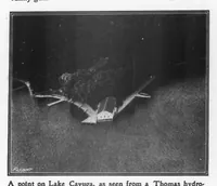 An illustration from Flight 1915-12-03: Vol 7 Iss 49 (1915)