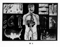 Picture 6 of 8 from American Association for Health, Physical Education and Recreation Journal 1930-05: Vol 1 Iss 5 (1930), leaf 42
