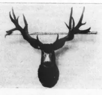 An illustration from Outdoor Life 1898-06: Vol 1 Iss 6 (1898)