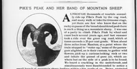 Picture 2 of 7 from Outdoor Life 1898-12: Vol 2 Iss 6 (1898), leaf 21