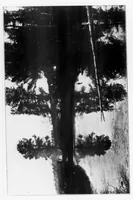 An illustration from Outdoor Life 1899-07: Vol 4 Iss 1 (1899)