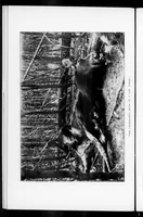 An illustration from Outdoor Life 1899-08: Vol 4 Iss 2 (1899)