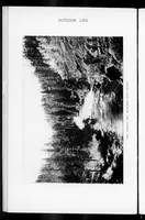An illustration from Outdoor Life 1899-08: Vol 4 Iss 2 (1899)