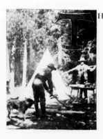 An illustration from Outdoor Life 1899-11: Vol 4 Iss 5 (1899)