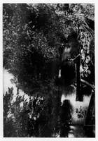 An illustration from Outdoor Life 1899-12: Vol 4 Iss 6 (1899)