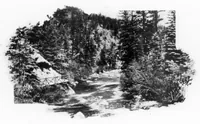An illustration from Outdoor Life 1900-06: Vol 5 Iss 6 (1900)
