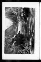 An illustration from Outdoor Life 1900-06: Vol 5 Iss 6 (1900)