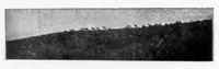 An illustration from Outdoor Life 1900-08: Vol 6 Iss 2 (1900)