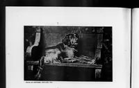 Picture 1 of 8 from Outdoor Life 1900-10: Vol 6 Iss 4 (1900), leaf 7