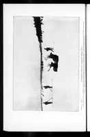 Picture 4 of 7 from Outdoor Life 1901-02: Vol 7 Iss 2 (1901), leaf 25