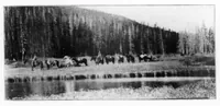 An illustration from Outdoor Life 1901-03: Vol 7 Iss 3 (1901)