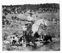 An illustration from Outdoor Life 1901-04: Vol 7 Iss 4 (1901)