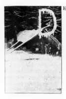 Picture 5 of 10 from Outdoor Life 1901-08: Vol 8 Iss 2 (1901), leaf 18