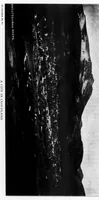 An illustration from Outdoor Life 1901-08: Vol 8 Iss 2 (1901)