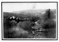 An illustration from Outdoor Life 1901-11: Vol 8 Iss 5 (1901)