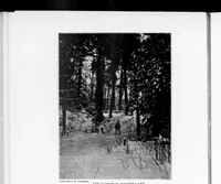An illustration from Outdoor Life 1901-11: Vol 8 Iss 5 (1901)