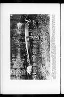 An illustration from Outdoor Life 1901-11: Vol 8 Iss 5 (1901)