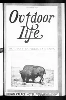 An illustration from Outdoor Life 1901-12: Vol 8 Iss 6 (1901)