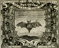 Picture 42 of 124 from Simboli predicabili estratti da sacri evangeli che corrono nella quadragesima (1692), leaf 171