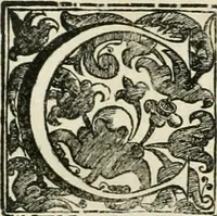 An illustration from Simboli predicabili estratti da sacri evangeli che corrono nella quadragesima (1692)