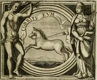 Picture 57 of 124 from Simboli predicabili estratti da sacri evangeli che corrono nella quadragesima (1692), leaf 226