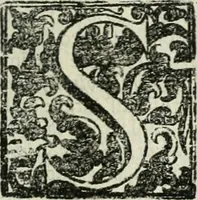 Picture 92 of 124 from Simboli predicabili estratti da sacri evangeli che corrono nella quadragesima (1692), leaf 360