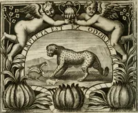 Picture 104 of 124 from Simboli predicabili estratti da sacri evangeli che corrono nella quadragesima (1692), leaf 415