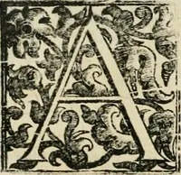 An illustration from Simboli predicabili estratti da sacri evangeli che corrono nella quadragesima (1692)
