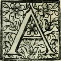 An illustration from Simboli predicabili estratti da sacri evangeli che corrono nella quadragesima (1692)