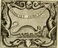 Picture 36 of 127 from Simboli predicabili : estratti da sacri evangeli che corrono nella quadragesima : delineati con morali, & eruditi discorsi (1692), leaf 151