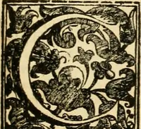 An illustration from Simboli predicabili : estratti da sacri evangeli che corrono nella quadragesima : delineati con morali, & eruditi discorsi (1692)