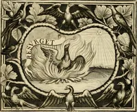Picture 81 of 127 from Simboli predicabili : estratti da sacri evangeli che corrono nella quadragesima : delineati con morali, & eruditi discorsi (1692), leaf 328