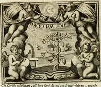Picture 112 of 127 from Simboli predicabili : estratti da sacri evangeli che corrono nella quadragesima : delineati con morali, & eruditi discorsi (1692), leaf 453