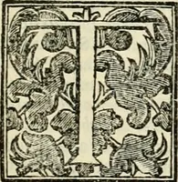 An illustration from Simboli predicabili : estratti da sacri evangeli che corrono nella quadragesima : delineati con morali, & eruditi discorsi (1692)