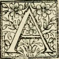 An illustration from Simboli predicabili : estratti da sacri evangeli che corrono nella quadragesima : delineati con morali, & eruditi discorsi (1692)