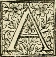 An illustration from Simboli predicabili : estratti da sacri evangeli che corrono nella quadragesima : delineati con morali, & eruditi discorsi (1692)