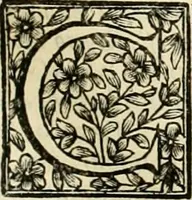 An illustration from Simboli predicabili : estratti da sacri evangeli che corrono nella quadragesima : delineati con morali, & eruditi discorsi (1692)