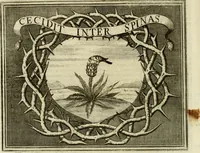 Picture 33 of 96 from Simboli predicabili : estratti da sacri evangeli che corrono nella quadragesima : delineati con morali, & eruditi discorsi (1692), leaf 151