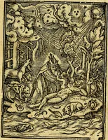 Picture 6 of 90 from Simolachri, historie, e figure de la morte. La medicina de l'anima [di Urbanus Rhegius] Il modo, e la via di consolar gl'infermi. Un sermone di San Cipriano, de la mortalità. Due orationi, l'una à Dio, e l'altra à Christo. Un sermone di D. Giovan Chrisostomo, che ci essorta à patienza. Aiuntovi de novo molte figure mai più stampate (1549), leaf 8