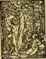 Picture 7 of 90 from Simolachri, historie, e figure de la morte. La medicina de l'anima [di Urbanus Rhegius] Il modo, e la via di consolar gl'infermi. Un sermone di San Cipriano, de la mortalità. Due orationi, l'una à Dio, e l'altra à Christo. Un sermone di D. Giovan Chrisostomo, che ci essorta à patienza. Aiuntovi de novo molte figure mai più stampate (1549), leaf 9